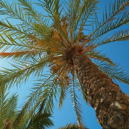 Kallitsakis Beach Platanias  Luaran gambar