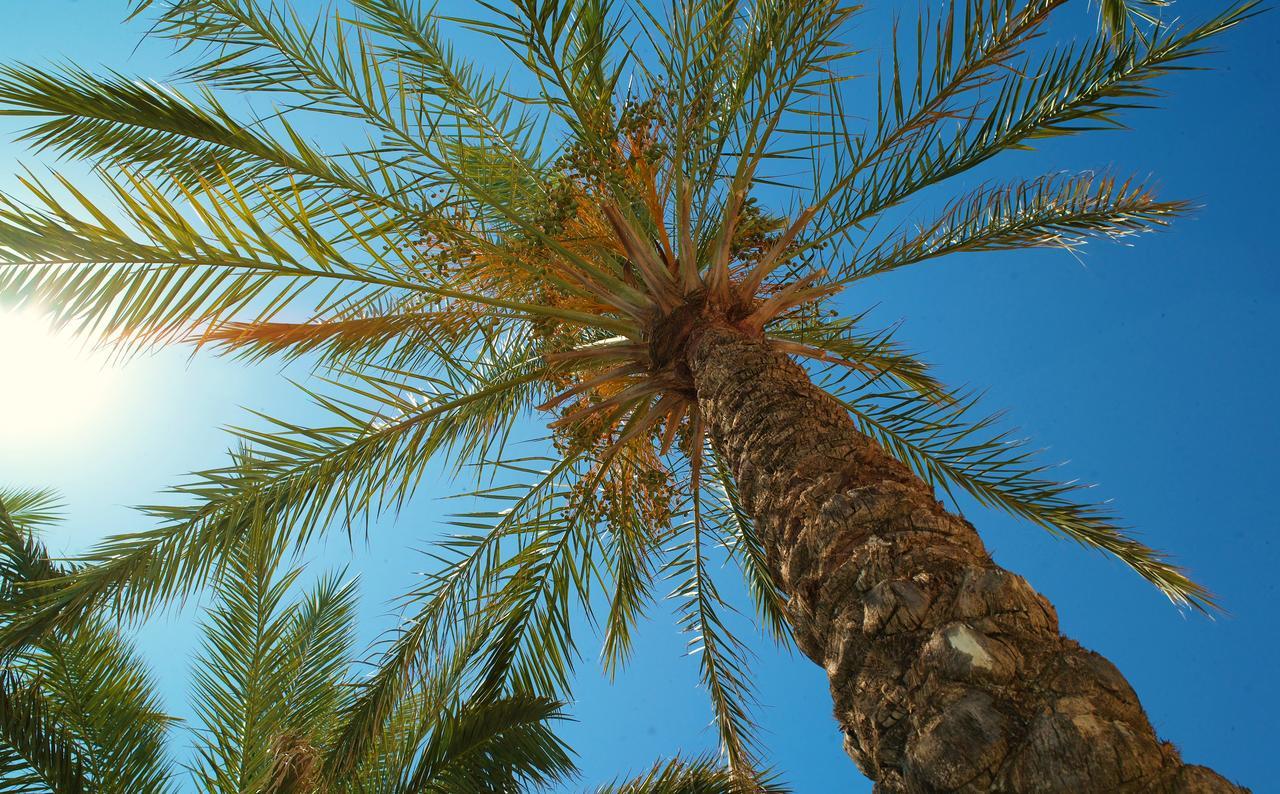 Kallitsakis Beach Platanias  Luaran gambar